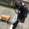 浔找你