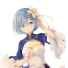 Rem923