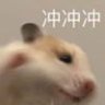 YDF1