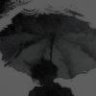 森霖雨桥