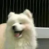 昀与云