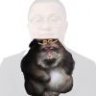 Strange_cat