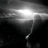 烂桃花lth