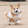 rrr打啊