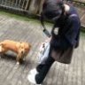 左侧的