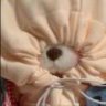 李llla