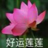 A落秋