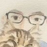 網絡叁痴