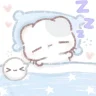 知知猪
