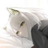 玉切碎