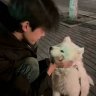野慾望