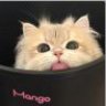 HHQ哈哈哈