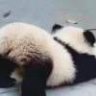 下次再喝