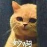小白啊