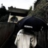 shy565758
