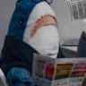 有点孤