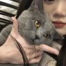 特困困猫