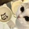 顶尖汉堡哥