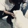 喻花逢春