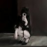 咳咳咳我是珂珂
