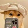 等春风十里