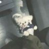 我是许栋铭