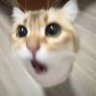 六厂三