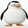 woeucqoebucoibnowd