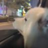 白日做梦胡思乱想