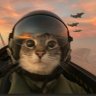 猿飞刘家豪