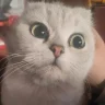 玛埃尔