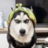 Ray灬