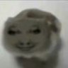 vjfbjhh