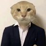 电视直播课