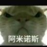 amns666这个入是桂