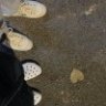 雨打铁皮