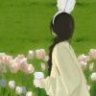 莲lian