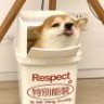 衍然陈