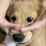 tudou999