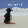 南山贼菜的