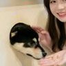 Jayshuai