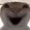 Zwwwwwwwtgf