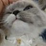 看看手机就睡