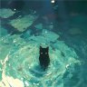 猕猴桃茶