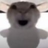 五六七七七