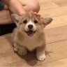 怎輓w