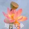 谭花一现