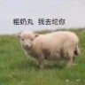 九忘123