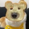 kiss丶末日