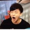 兔子qz